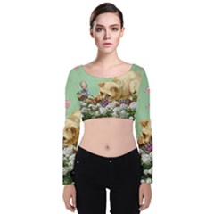 Cat And Butterflies Green Velvet Long Sleeve Crop Top