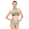 Cat And Butterflies Green High Neck Bikini Set View1