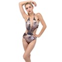 Bear Looking Plunging Cut Out Swimsuit View1