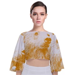 Bear Tie Back Butterfly Sleeve Chiffon Top