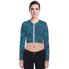 Peacocks Zip Up Bomber Jacket