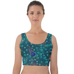 Peacocks Velvet Crop Top