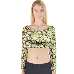 Officially Sexy Soft Mint & Coco Cracked Pattern Long Sleeve Crop Top (tight Fit) by OfficiallySexy