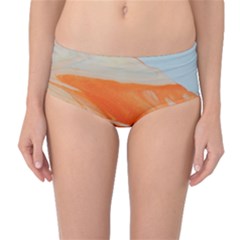 Orange And Blue Mid-waist Bikini Bottoms by WILLBIRDWELL