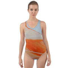 Orange And Blue Cut-out Back One Piece Swimsuit by WILLBIRDWELL