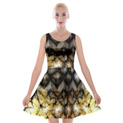 Black Zig Zag Blurred On Gold Crush Flowers By Flipstylez Designs Velvet Skater Dress