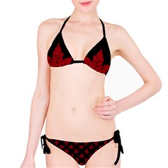 Cool Canada Bikini Set by CanadaSouvenirs