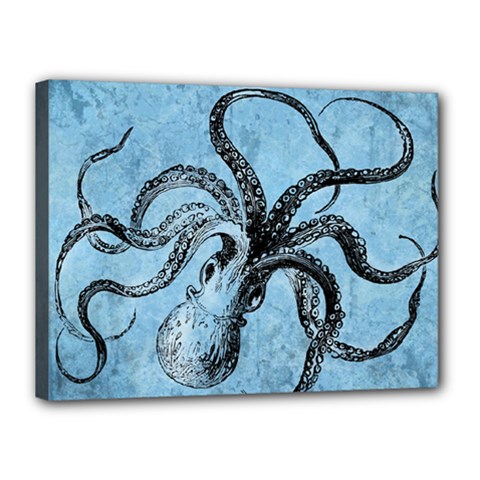 Vintage Octopus  Canvas 16  X 12  (stretched) by Valentinaart