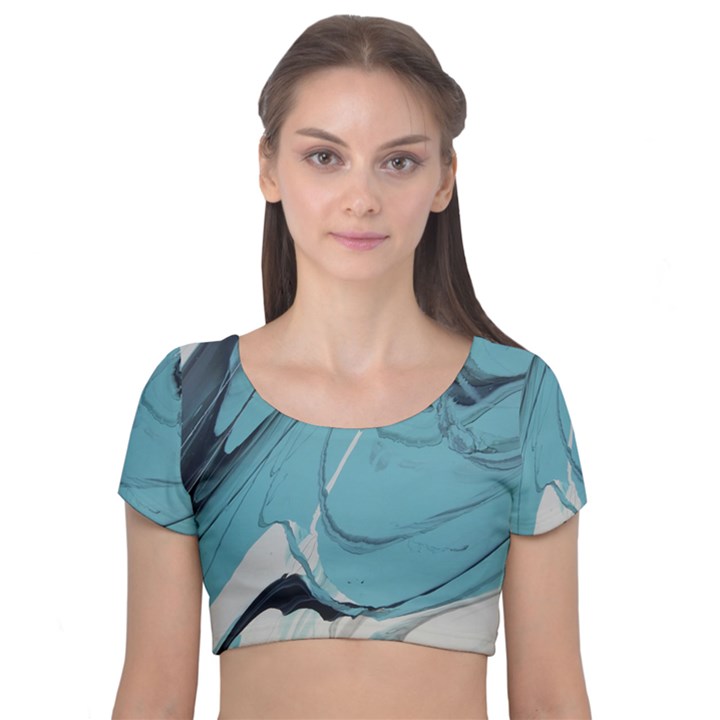 WHISPER 2 Velvet Short Sleeve Crop Top 