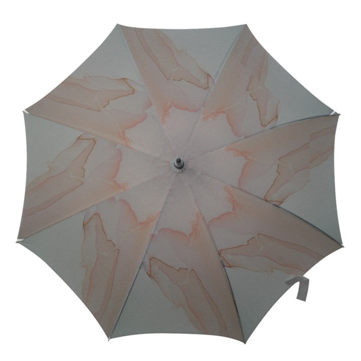 VEIL Hook Handle Umbrellas (Medium)