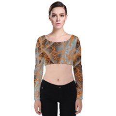 STRING THEORY Velvet Long Sleeve Crop Top