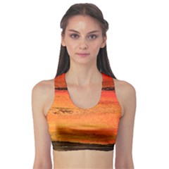 Sunset Sports Bra by WILLBIRDWELL