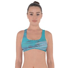 Copper Pond Got No Strings Sports Bra by WILLBIRDWELL