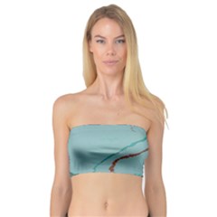 Copper Pond 2 Bandeau Top by WILLBIRDWELL