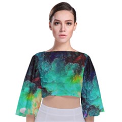 3d Paint                                     Tie Back Butterfly Sleeve Chiffon Top