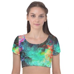 3d Paint                                         Velvet Short Sleeve Crop Top