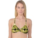 Awesome Creepy Skeleton With Skull Reversible Tri Bikini Top View1