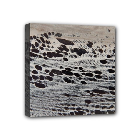 Snake Skin Mini Canvas 4  X 4  (stretched) by WILLBIRDWELL