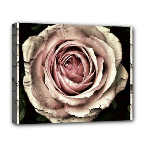 Vintage Rose Deluxe Canvas 20  X 16  (stretched) by vintage2030