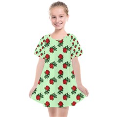 Red Roses Green Kids  Smock Dress