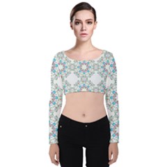 Embroidery Paisley Velvet Long Sleeve Crop Top