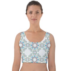 Embroidery Paisley Velvet Crop Top