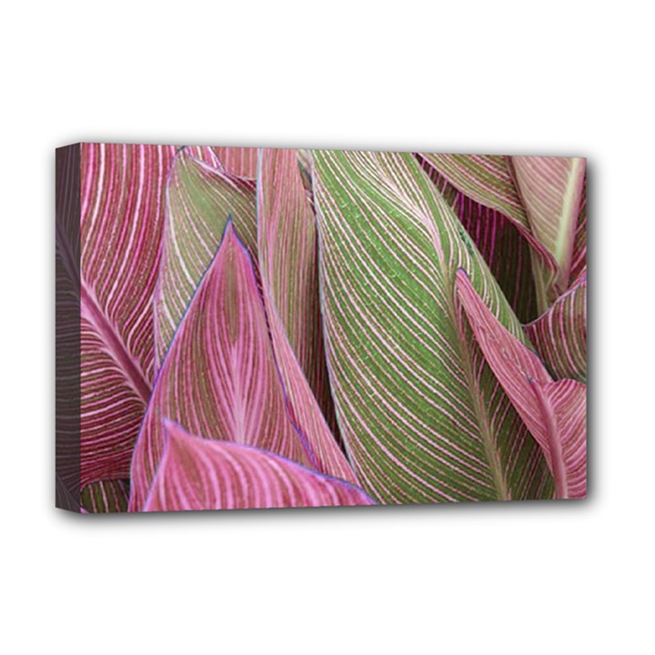 Pink Leaves Deluxe Canvas 18  x 12  (Stretched)