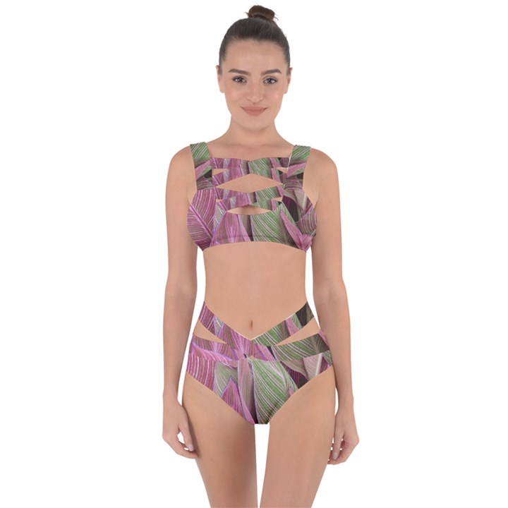 Pink Leaves Bandaged Up Bikini Set 