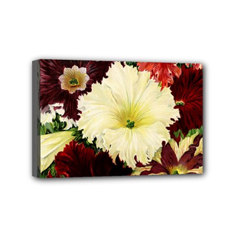 Flowers 1776585 1920 Mini Canvas 6  X 4  (stretched) by vintage2030