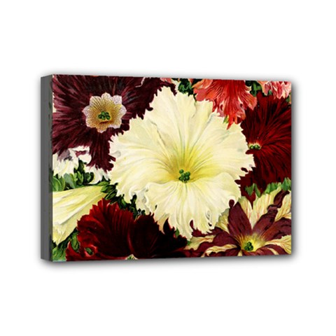 Flowers 1776585 1920 Mini Canvas 7  X 5  (stretched) by vintage2030