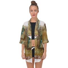 Tag 1763336 1280 Open Front Chiffon Kimono