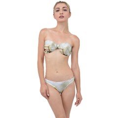 Background 1660942 1920 Classic Bandeau Bikini Set