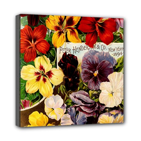 Flowers 1776534 1920 Mini Canvas 8  X 8  (stretched) by vintage2030