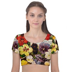 Flowers 1776534 1920 Velvet Short Sleeve Crop Top 