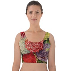 Flowers 1776541 1920 Velvet Crop Top