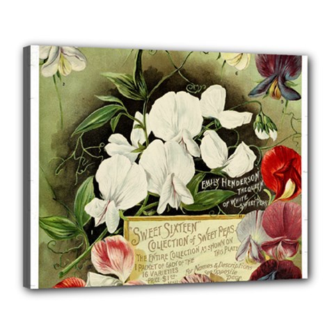 Flowers 1776617 1920 Canvas 20  X 16  (stretched) by vintage2030