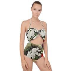 Flowers 1776617 1920 Scallop Top Cut Out Swimsuit