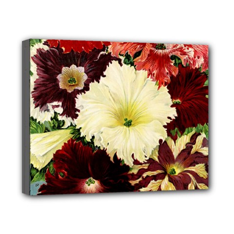 Flowers 1776585 1920 Canvas 10  X 8  (stretched) by vintage2030