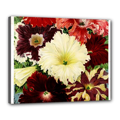 Flowers 1776585 1920 Canvas 20  X 16  (stretched) by vintage2030