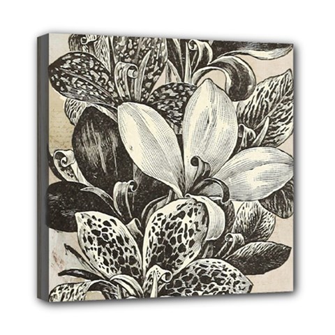 Flowers 1776382 1280 Mini Canvas 8  X 8  (stretched) by vintage2030