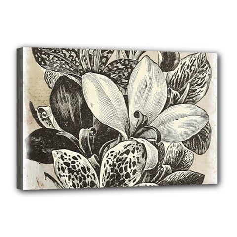 Flowers 1776382 1280 Canvas 18  X 12  (stretched) by vintage2030