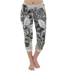 Flowers 1776382 1280 Capri Winter Leggings 