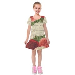 Flowers 1776422 1920 Kids  Short Sleeve Velvet Dress by vintage2030