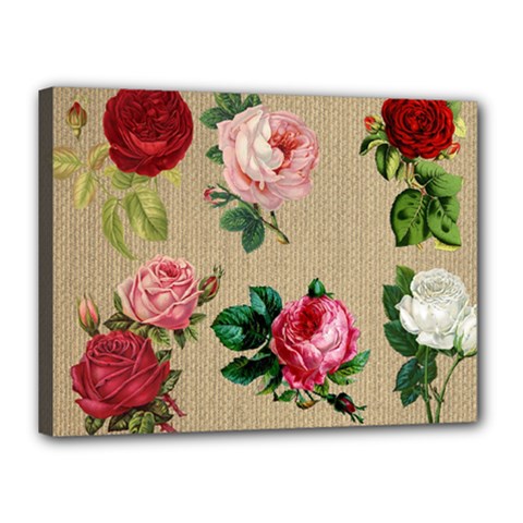 Flower 1770189 1920 Canvas 16  X 12  (stretched) by vintage2030