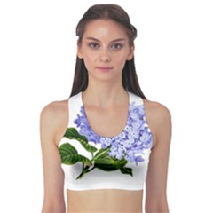 Flower 1775377 1280 Sports Bra by vintage2030