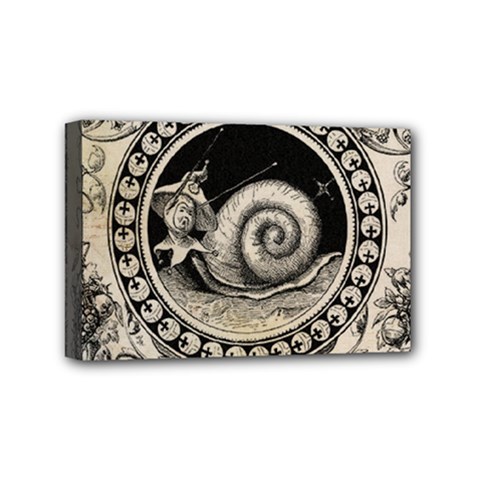 Snail 1618209 1280 Mini Canvas 6  X 4  (stretched) by vintage2030