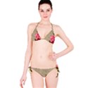 Flower 1646069 1920 Classic Bikini Set View3