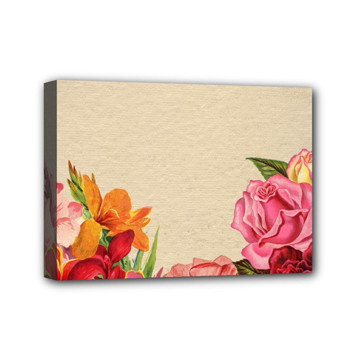 Flower 1646035 1920 Mini Canvas 7  x 5  (Stretched)