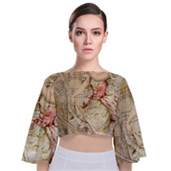 Fairy 1229009 1280 Tie Back Butterfly Sleeve Chiffon Top by vintage2030