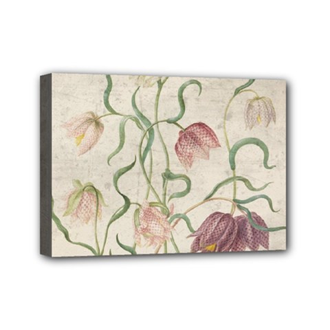 Vintage 1181683 1280 Mini Canvas 7  X 5  (stretched) by vintage2030